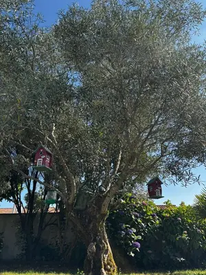 Jardin de l'établissement Superbe villa 6 personnes proche océan et lac