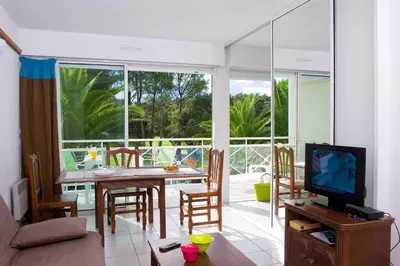 Télévision ou salle de divertissement dans l'établissement Madame Vacances Les Appartements de Moliets