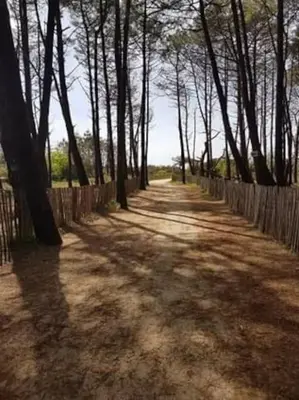 Paysage naturel près de l'appartement