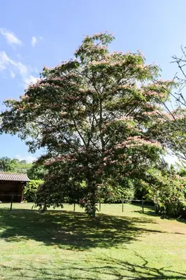 Jardin de l'établissement Villa avec piscine à proximité des plages et de la forêt