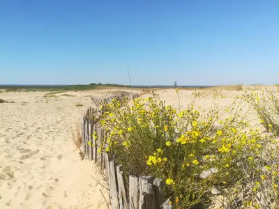 Paysage naturel près de le camping