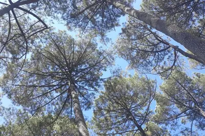 Paysage naturel près de la maison de vacances