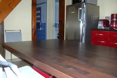 Cuisine ou kitchenette dans l'établissement Gîte avec jardin tout confort à Luglon, proche Ecomusée de Marqueze, Landes