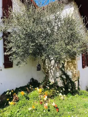 Jardin de l'établissement Gîte 10 personnes dans la Nature proche Océan Landes