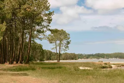 Paysage naturel près de le camping