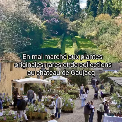 Jardin de l'établissement Location maison avec piscine pour 6 personnes