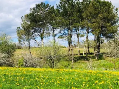 Paysage naturel près de la maison de vacances