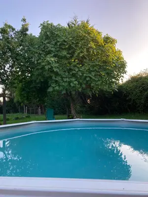 Piscine de l'établissement Gîte 2 à 5 personnes au coeur de la Nature ou située à proximité