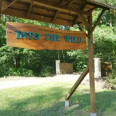 INTO THE WILD - Nos 5 logements 