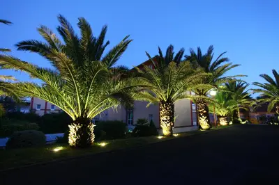 Jardin de l'établissement Les Demeures de Borda
