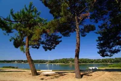 Paysage naturel près de le camping