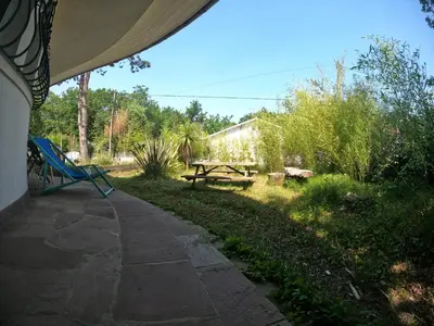 Jardin de l'établissement Surfhouse a proximité des spots de surf