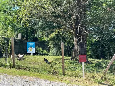 Jardin de l'établissement Ferme du Peyronin