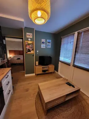 Télévision ou salle de divertissement dans l'établissement Appartement Domaine du Bost