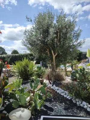 Jardin de l'établissement MAISON de VACANCES