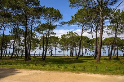 Paysage naturel près de l'appartement