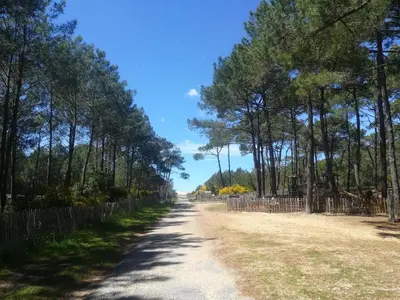Paysage naturel près de la maison de vacances