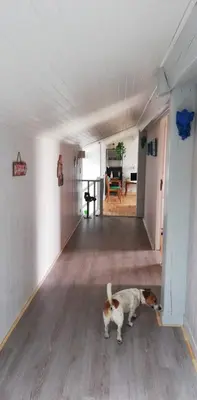 Animal ou animaux domestique(s) séjournant avec des clients dans l'établissement Maison Sophie