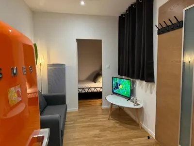 Télévision ou salle de divertissement dans l'établissement Jungle Room, centre ville Dax