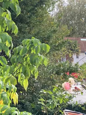 Jardin de l'établissement Appartement proche de l Adour