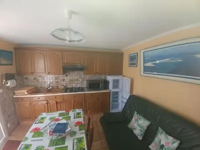 Cuisine ou kitchenette dans l'établissement Appartement T2 Le Teich