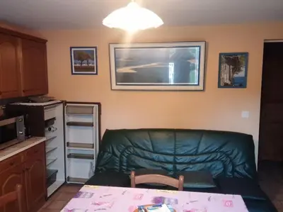 Cuisine ou kitchenette dans l'établissement Appartement T2 Le Teich