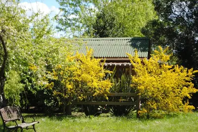Jardin de l'établissement Charmant chalet en bois