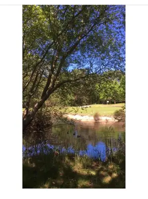Paysage naturel près de la maison de vacances
