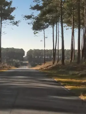 Paysage naturel près de la maison de vacances