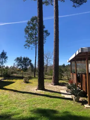 Jardin de l'établissement Les dunes de Contis Chez Edith océan pins et détente assurée dans camping 4 étoiles