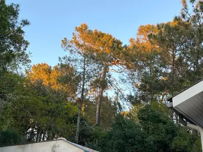 Plan de l'établissement Villa Marylka - une cabane au Pyla