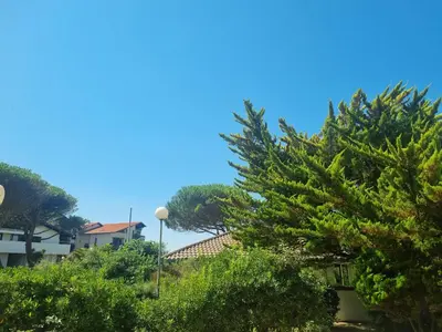 Jardin de l'établissement Appartement rénové à Seignosse : Plage et commerces à pied, terrasse et wifi inclus - FR-1-239-1081