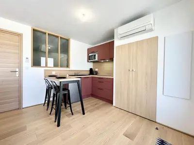 Cuisine ou kitchenette dans l'établissement Le Jungle - Neuf - Parking Privé - Hyper Centre