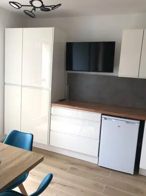 Cuisine ou kitchenette dans l'établissement Joli T2 vue lac, entièrement rénové