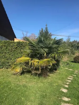 Jardin de l'établissement La cabane du littoral