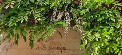 Jardin de l'établissement Les chambres du trouilh