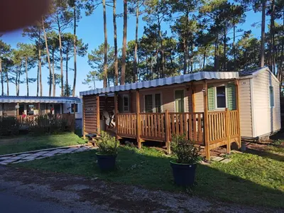 Jardin de l'établissement Mobil-home Mick et Stefie