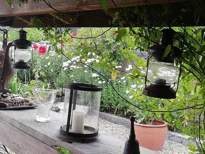 Jardin de l'établissement Le Chai de Serres