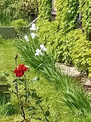 Jardin de l'établissement Le Chai de Serres