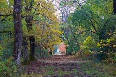 Paysage naturel près de la maison de vacances