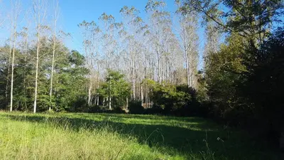 Paysage naturel près de l'appartement