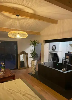 Un ou plusieurs lits dans un hébergement de l'établissement VILLA DE PRESTIGE avec salle de sports privée