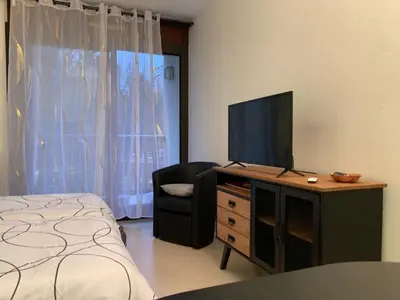 Télévision ou salle de divertissement dans l'établissement Très jolie studio à louer avec sa belle terrasse de 4m2 idéalement situé dans un hôtel thermale