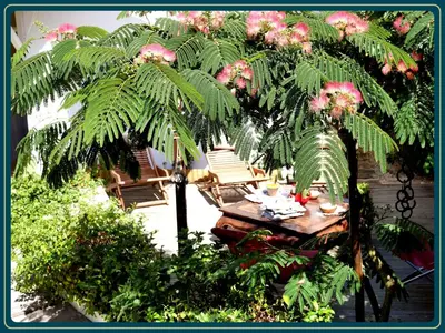 Jardin de l'établissement Les Embruns
