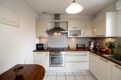Cuisine ou kitchenette dans l'établissement Maison de vacances Navarrosse