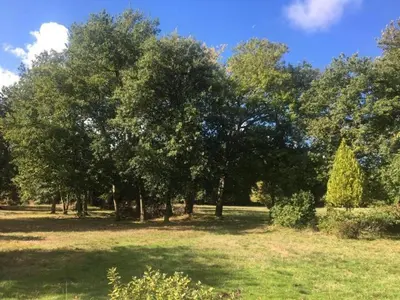 Jardin de l'établissement capbat