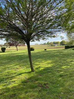 Jardin de l'établissement Domaine de Beauregard