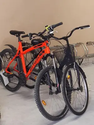 Vélo sur le terrain de l'établissement Appartement au bord de la plage et de la foret ou dans les environs