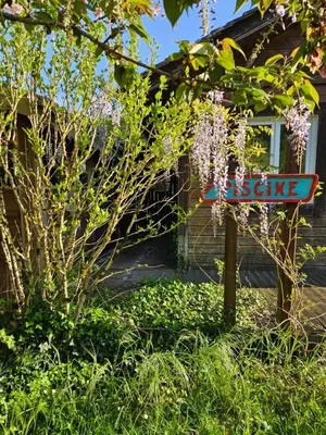 Jardin de l'établissement Camping familial les Chalets d'Uza