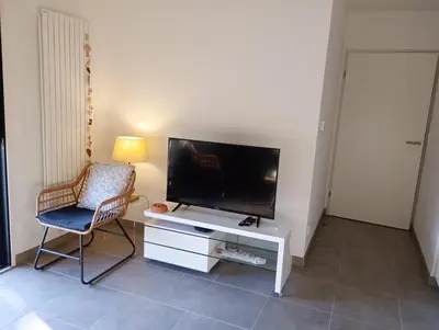 Télévision ou salle de divertissement dans l'établissement Henea